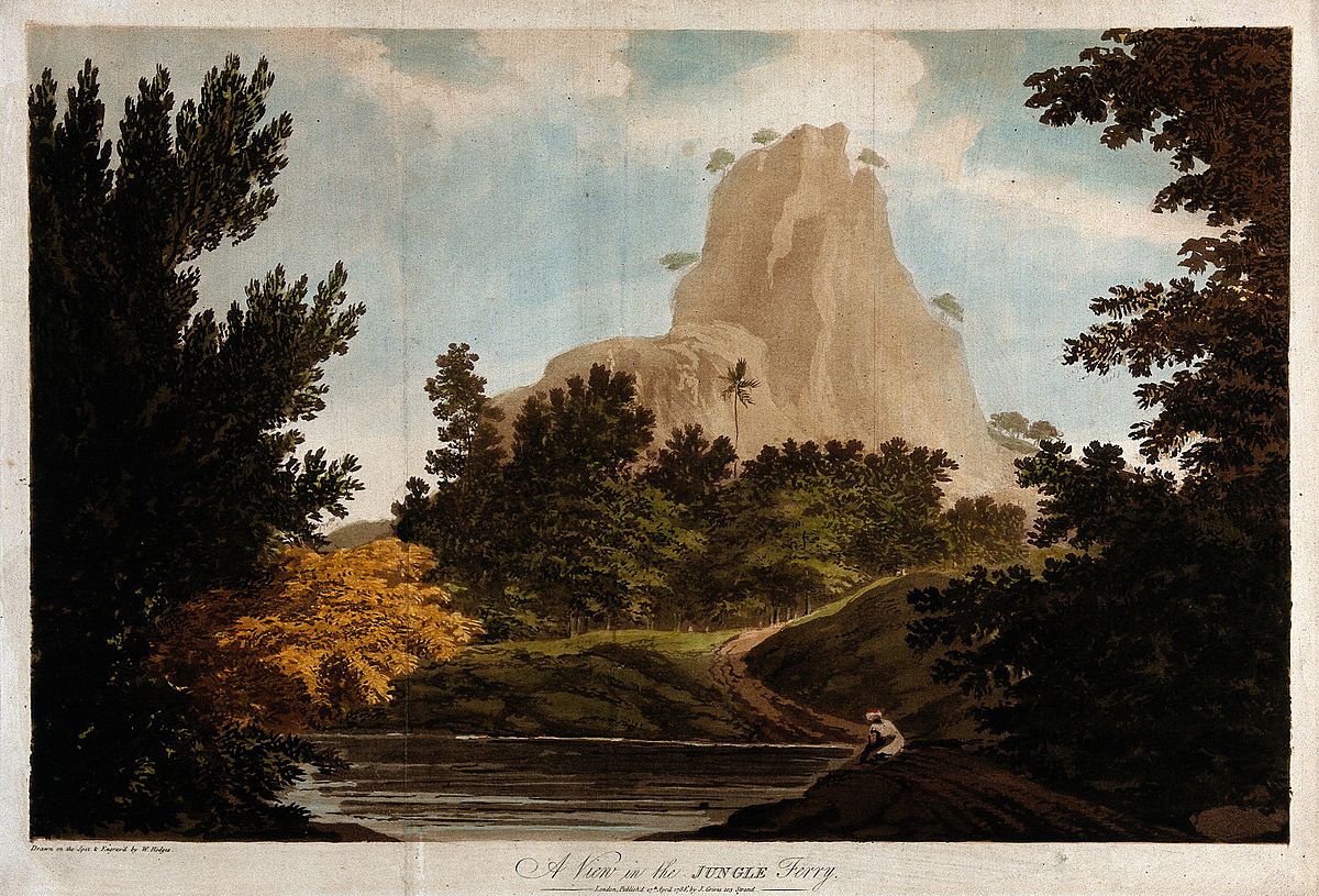 Mountain_seen_from_the_jungle,_India._Coloured_etching_by_Wi_Wellcome_V0050435